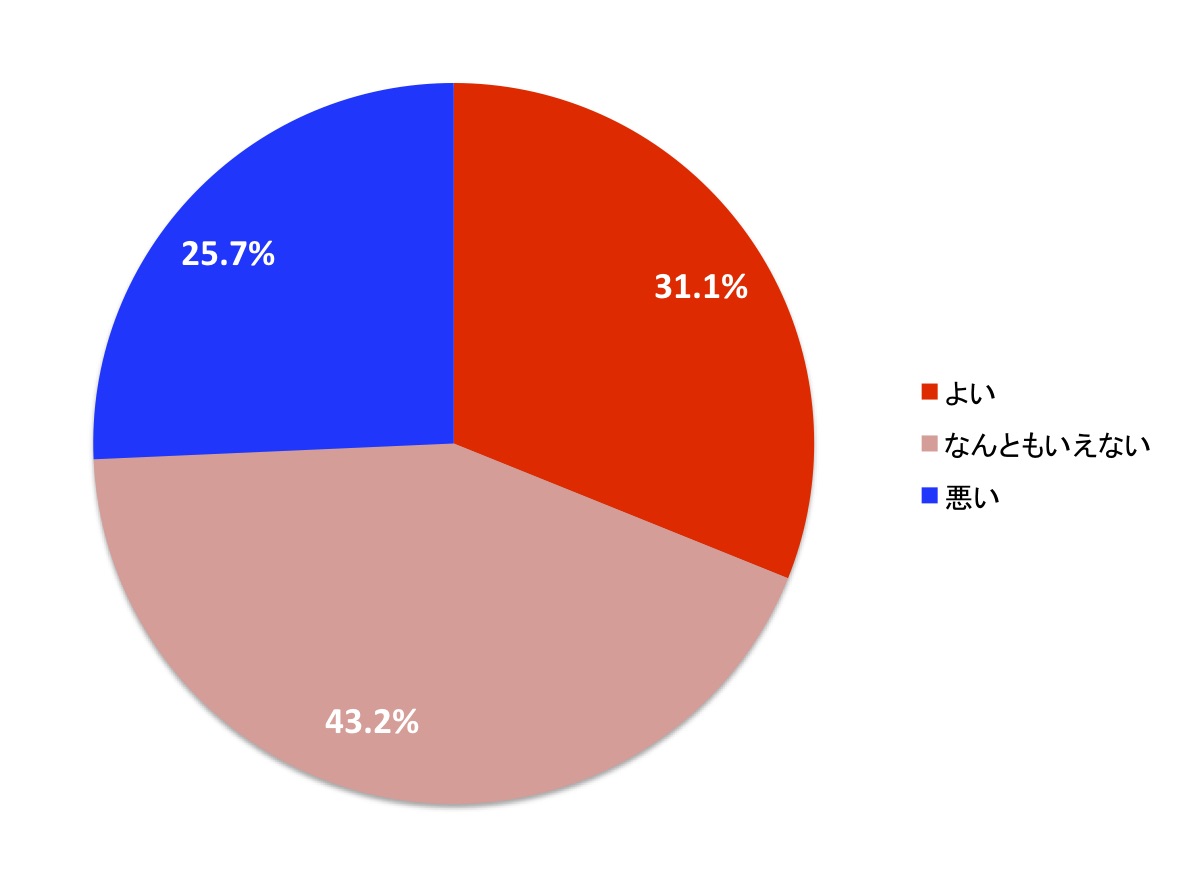 VPORT　使い勝手