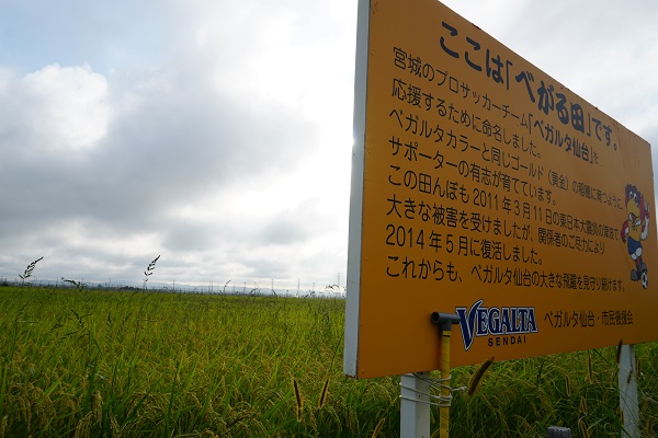 べがる田9月8日