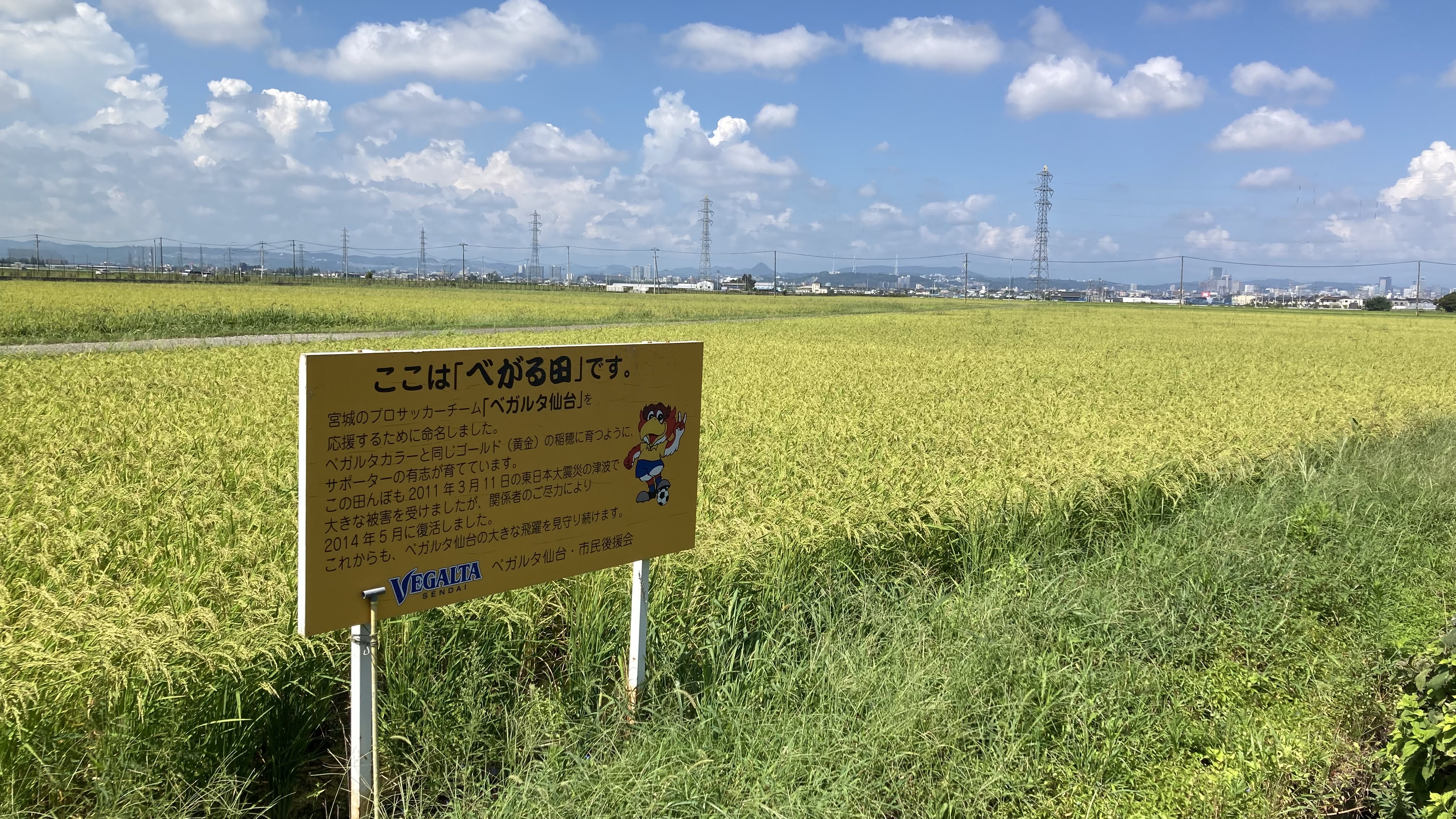 べがる田8月20日全景　看板入り