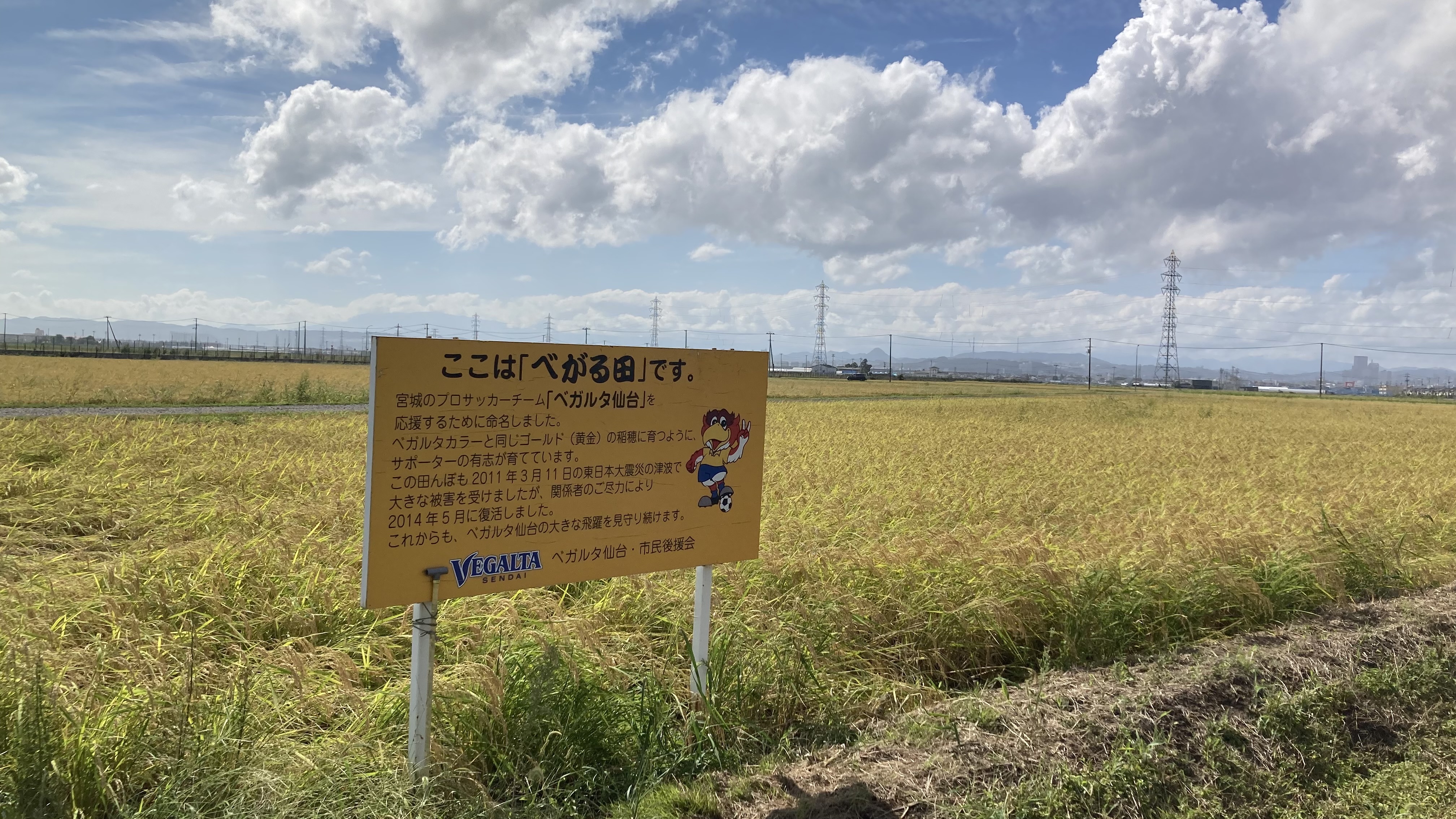 べがる田9月9日全景　看板入り