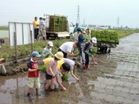 2001�N�c�A���̗l�q